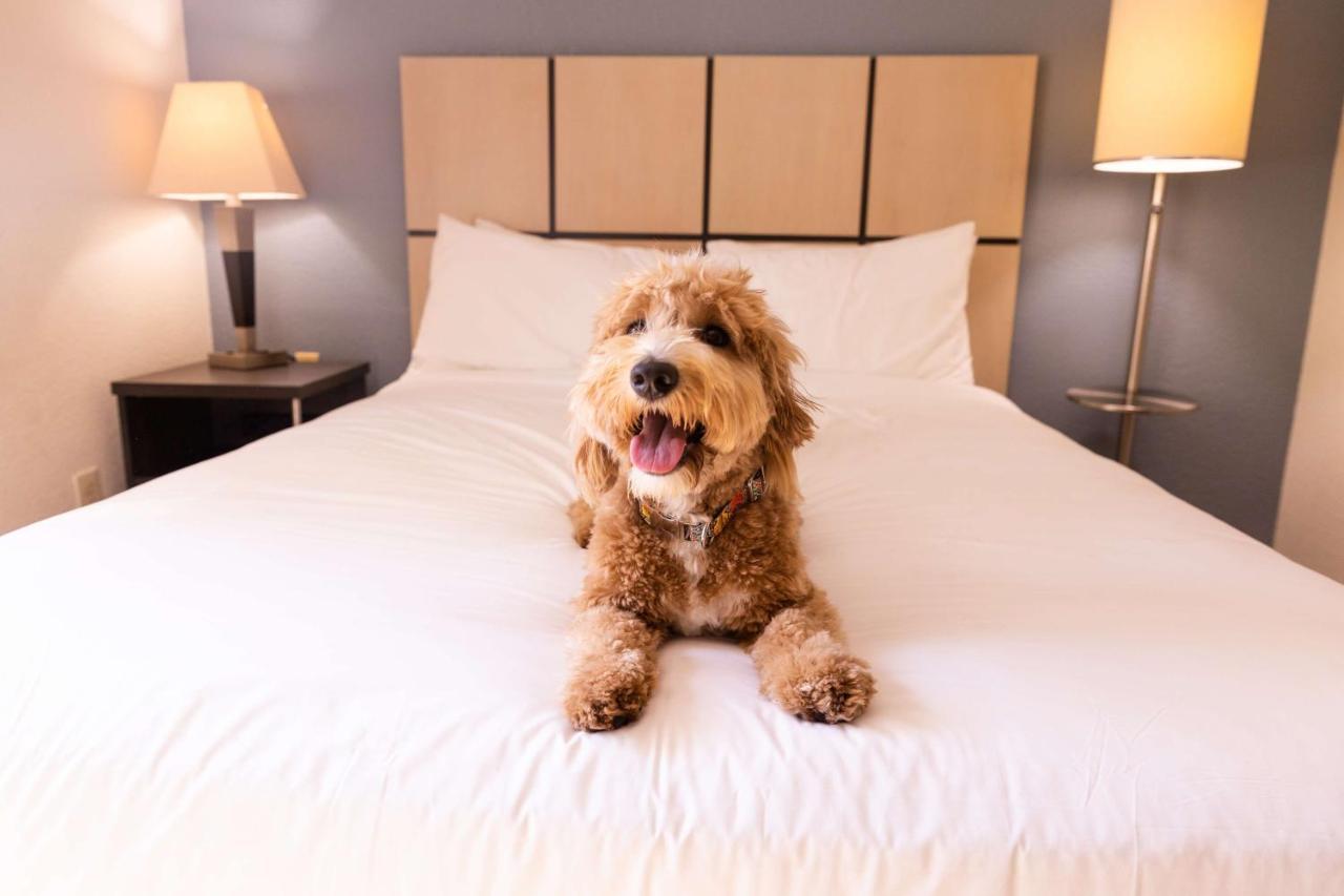 Sonesta Simply Suites Birmingham Hoover Luaran gambar
